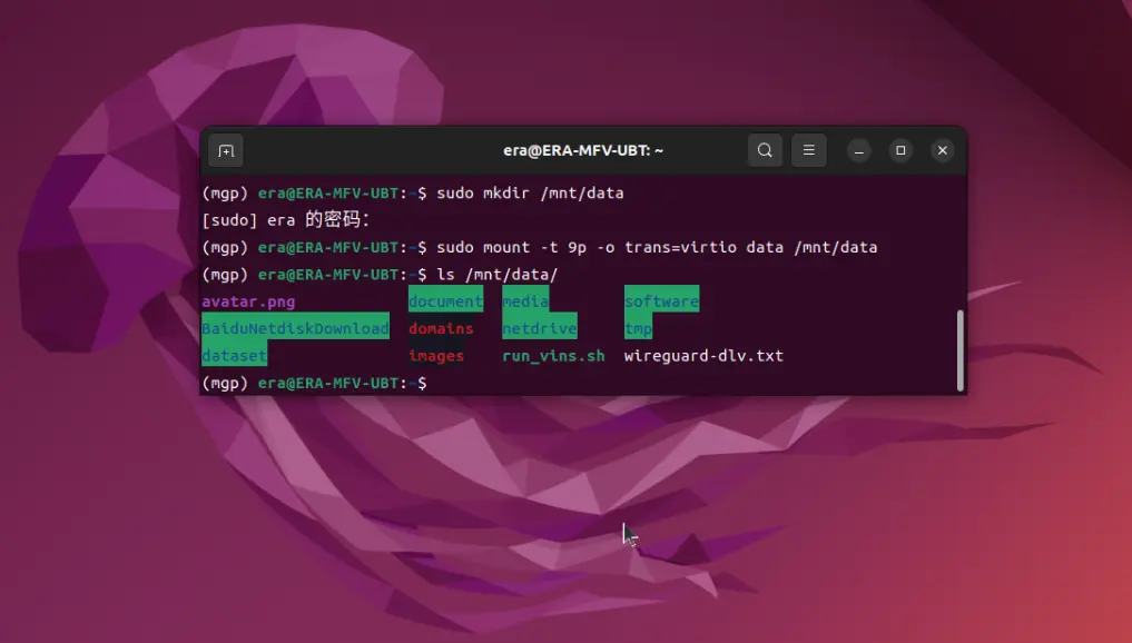挂载成功示例-ubuntu22.04